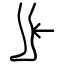 calf