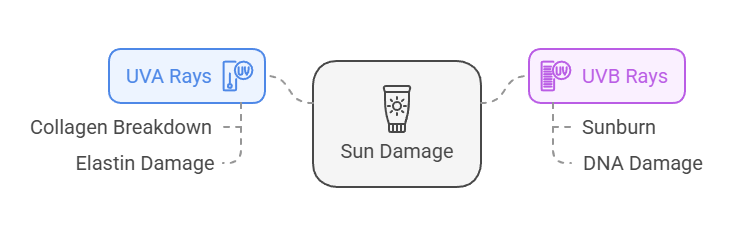 UVA Rays vs UVB Rays
